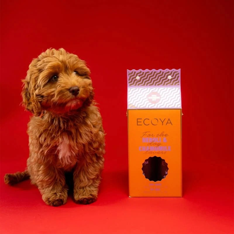 Dark Red Dog Grooming Set